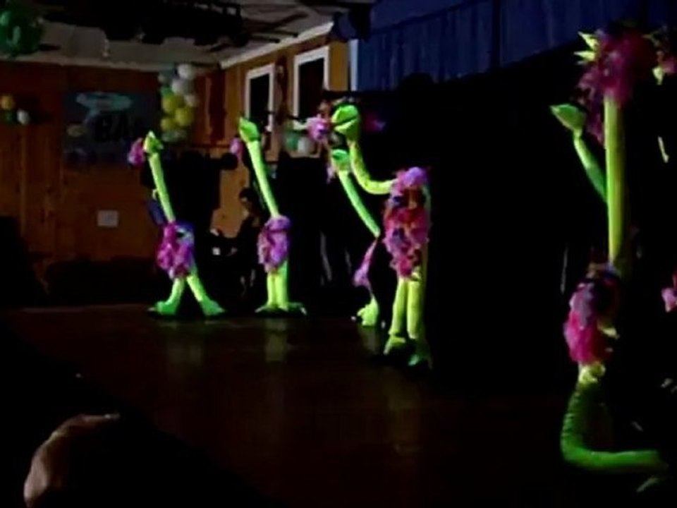 Prunksitzung in Gauaschach 30.01.2009 Prinzengarde GCA Gauaschach