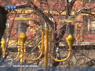 Info 7 - pregled nedelje, 24. decembar 2011.