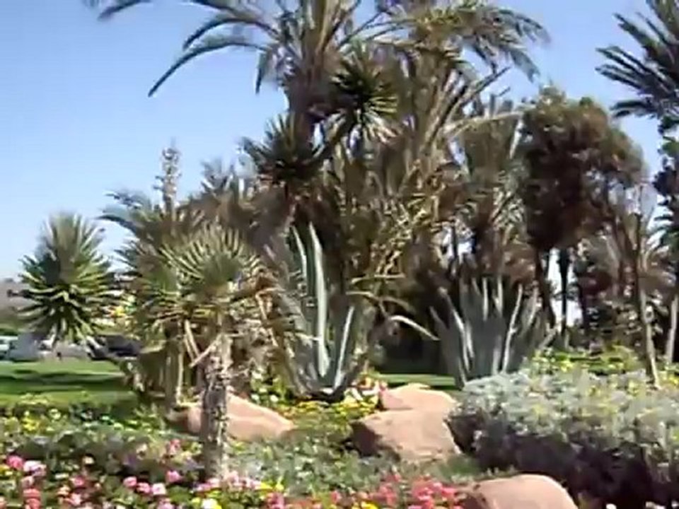 Hotel Palais des Roses, Infos zum Hotel Palais des Roses