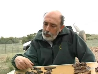 Avance Reportaje: aparecen restos humanos en la mina de Las Cabezuelas