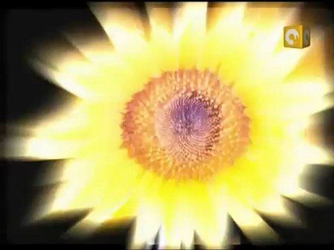 بلدنا بالمصري: التعذيب في مصر قبل وبعد ثورة 25 يناير