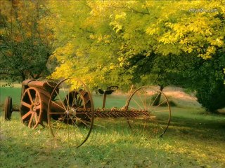 SALİM KIVILCIM sofi