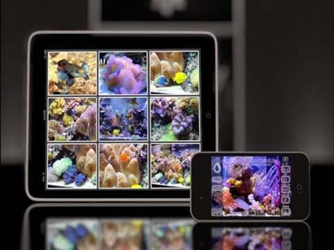 AquaDigitalLife - for marine Aquarium (reef tank)