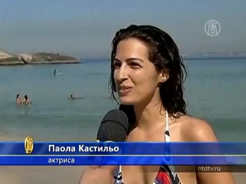 К Рио-де-Жанейро приплыли заблудившиеся пингвины