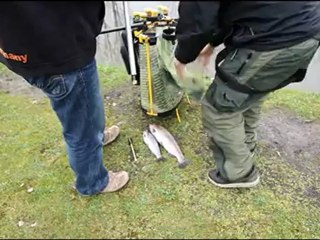 Praxis Tipp: Mit Bienenmade und Tremarella-Technik zum Erfolg.