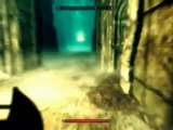 The Elder Scrolls V Skyrim - Playthrough pt382 Dolfje Weerwolfje