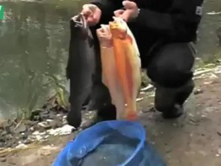 Angeln mit dem Bodentaster