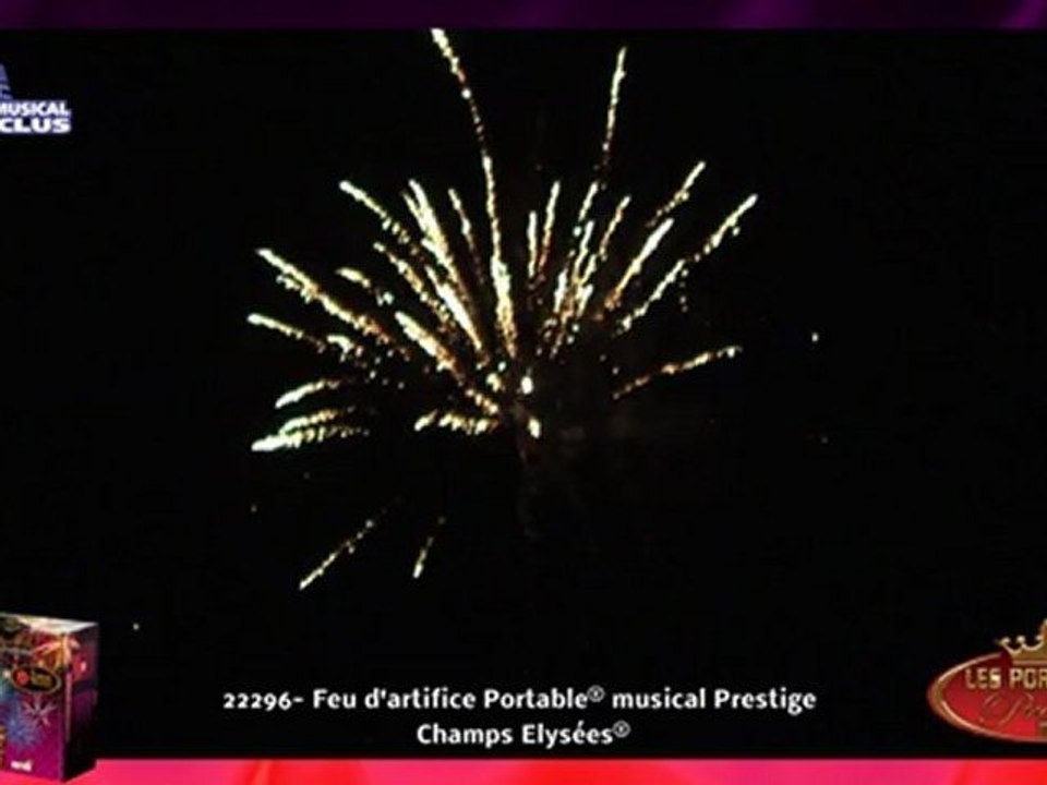 ADRM 3 MOULINS -  PORTABLE Champs Elysée  4 min - Feu d' artifice