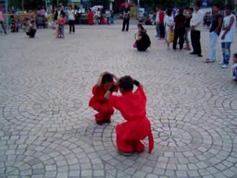 MOV09108