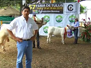 ASOCHAROLAISE FERIA TULUA Julio 3 de 2012 (1)