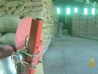 الاستثمارات الزراعية في جنوب السودان