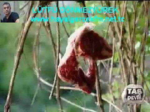 Atilla Taş Devri Ayaş ılıca köyü CAKMA HABER bölüm-1