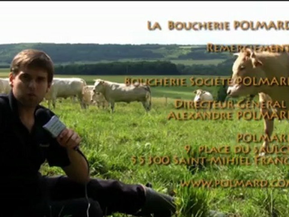 Boucherie Polmard 6 : le projet l'abattoir