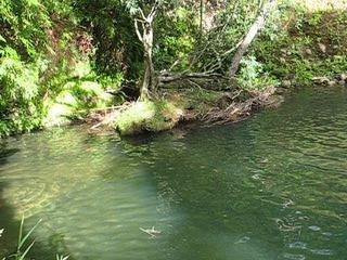 Vacances Gwada [M.R.Crew]