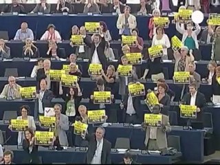 Adiós a ACTA, de momento