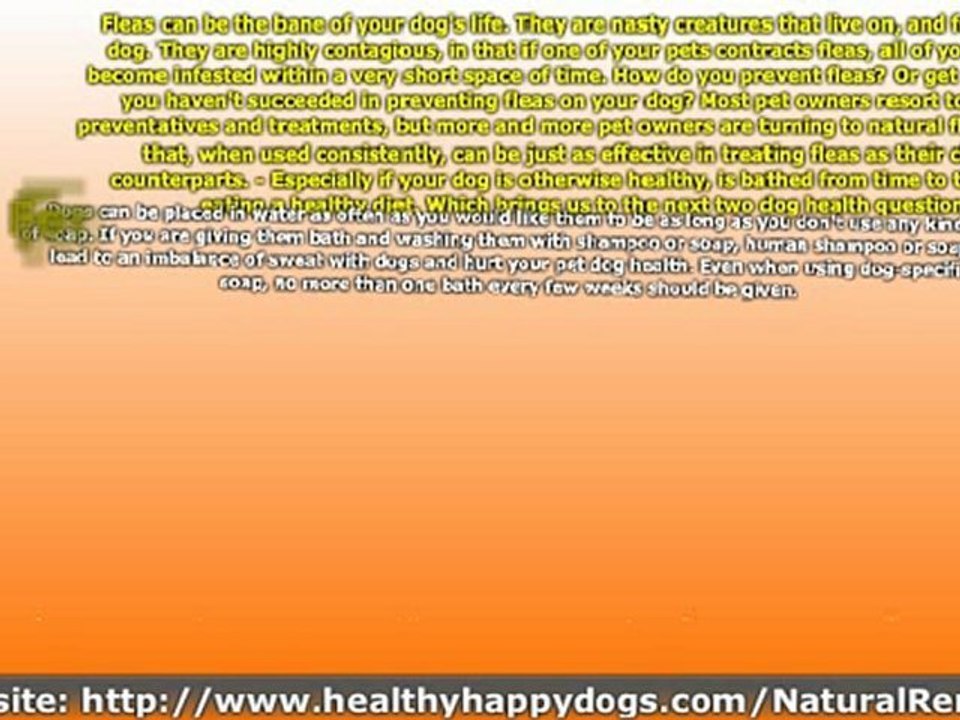 Dog Health Care Tips - Commonly Asked Dog Health Questions