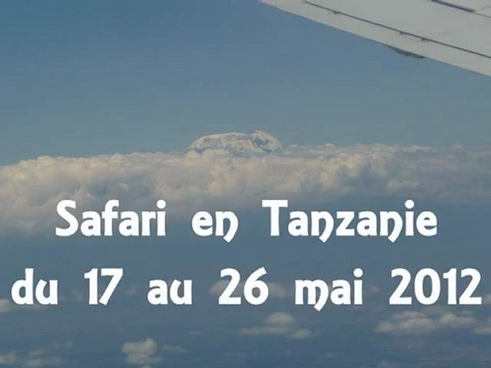 Safari en Tanzanie