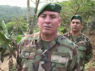 Erradicar cultivo ilegal de coca