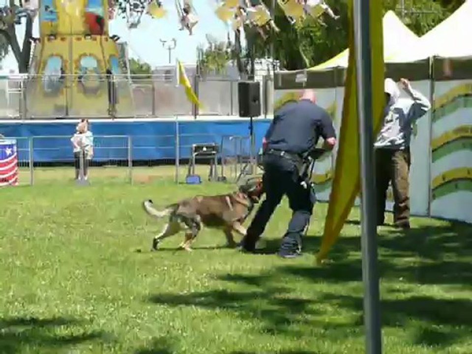 100 YEARS ALAMEDA COUNTY FAIR. O1 019