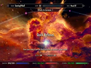 The Elder Scrolls V Skyrim - Playthrough pt499 Lydia Got Eaten By A Wall...