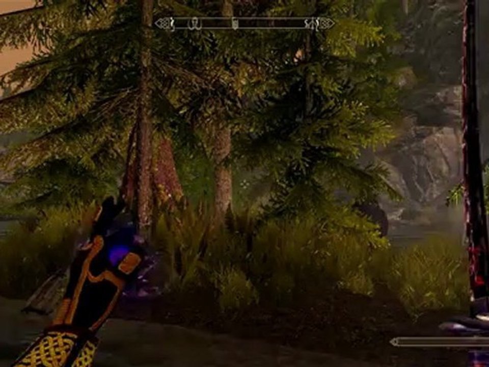 The Elder Scrolls V Skyrim - Playthrough pt514 Bugged Chest