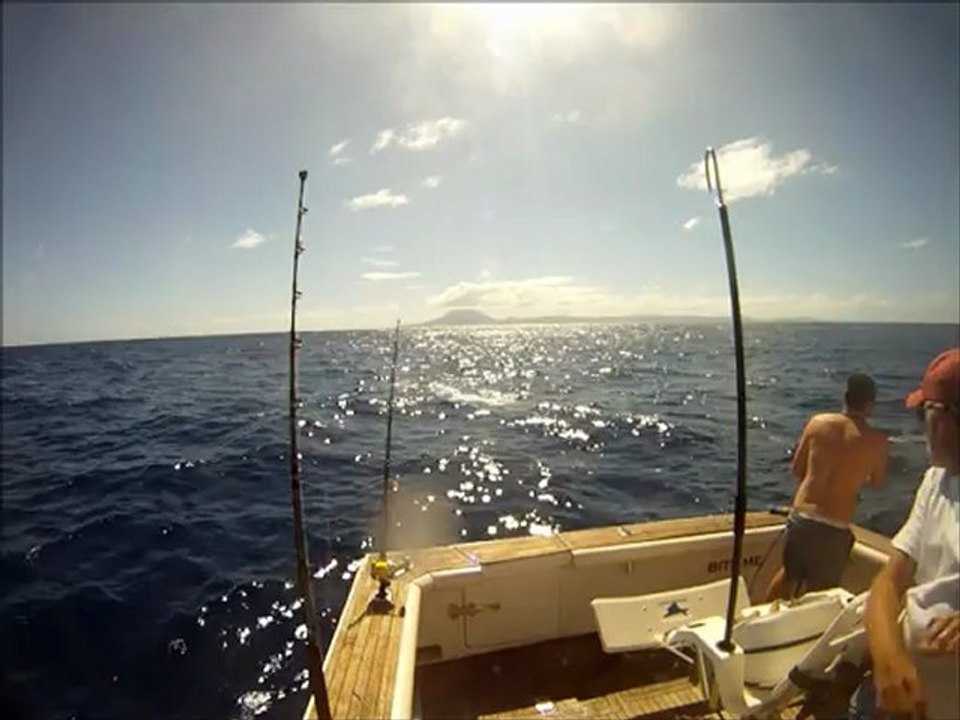 Rocket Wahoo