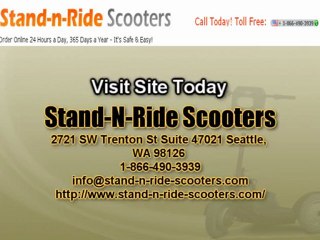 Portable Stand N Ride Electric Scooter