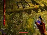 The Elder Scrolls V Skyrim - Playthrough pt536 I SUMMONED SIMBA !!