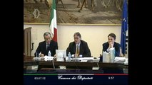 Roma - L'audizione di Vittorio Grilli (03.07.12)