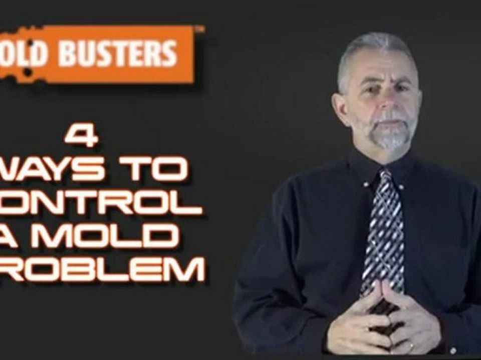 How to Control Mold (Mould) Problem