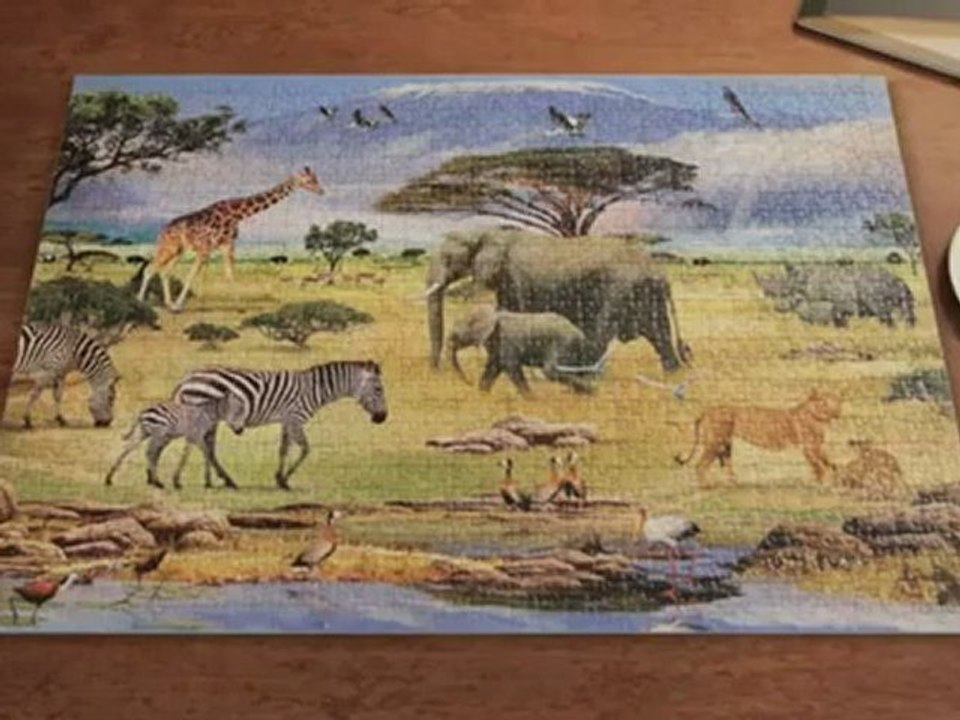 Ravensburger Puzzle and Augmented Reality