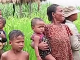 "Blutiger Zucker" aus Kambodscha: Vorwürfe gegen die EU