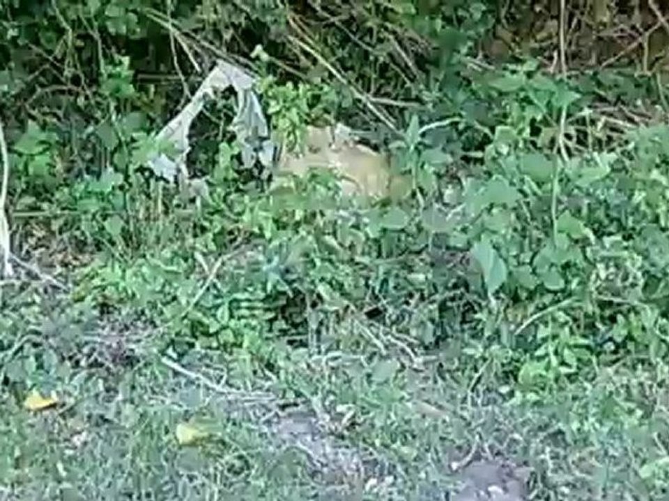 CIMG0062