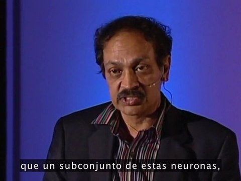 Neuronas espejo: V. Ramachandran (v.o.s.)