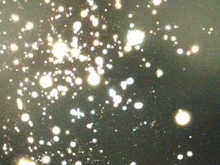 providence merveille terre paix absolue misericorde