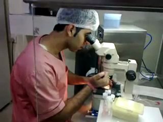 dr.samit sekhar - IVF Emvrio Transfer For Surrogacy