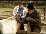 Incredible Google app translates animal speech!