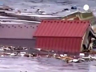 Report concludes Japan's atomic disaster was avoidable