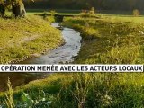 Pourquoi restaurer les cours d'eau en milieu rural ?