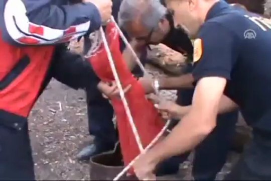 Yavru kedi kuyuya düştü