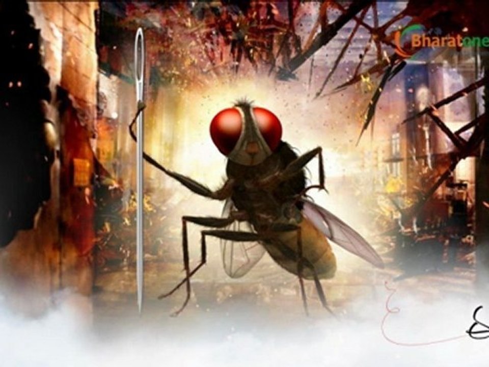 Eega Movie Preview and Rating | Rajamouli Eega Telugu Movie Review