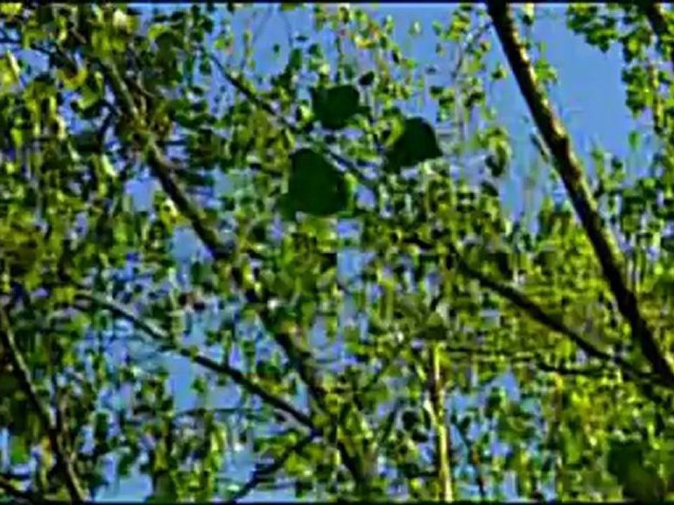 Sakarya Tanıtım Filmi