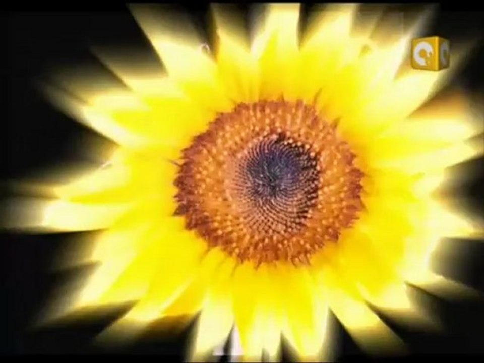 بلدنا بالمصري: شرطة بلدنا .. مبادرة لتطهير جهاز الشرطة