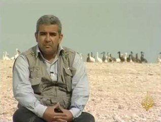 طيور مهاجرة من أوروبا تضرب محمية أرغين بموريتانيا