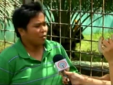 Шестиметровый крокодил попал в Книгу Гиннесса