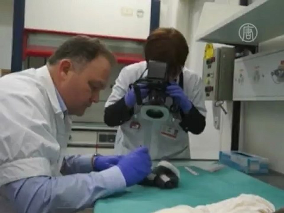Зубная щётка Арафата оказалась самой радиоактивной