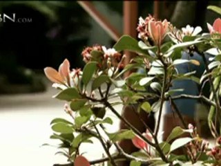 The 700 Club - July 5, 2012 - CBN.com