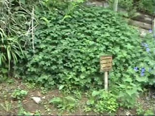 documentaire journalisme - Terran