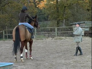 L'apprentissage, c'est pas pour les nuls !