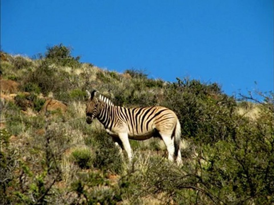 Kenya Tanzanie Zanzibar 2012 Intro